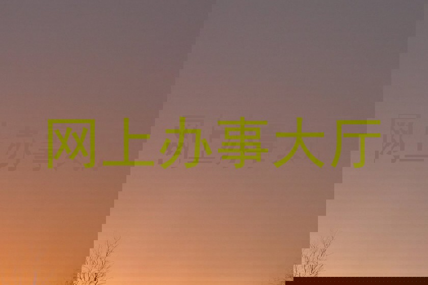 网上办事大厅
