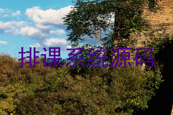 排课系统源码