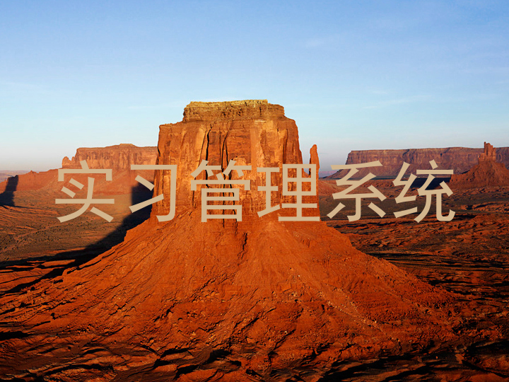 实习管理系统