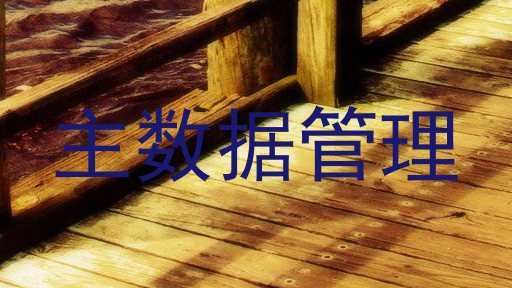 主数据管理