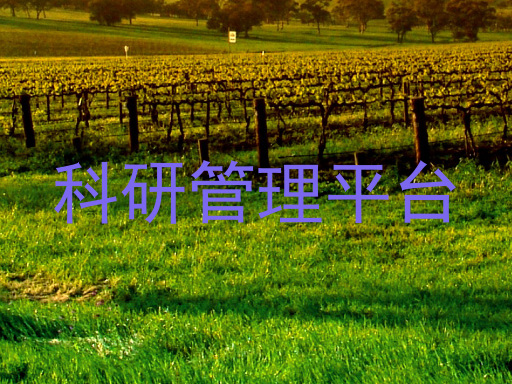 科研管理平台