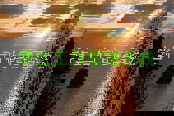 学生工作管理系统