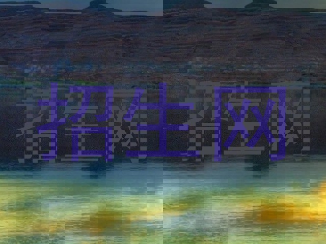 招生网