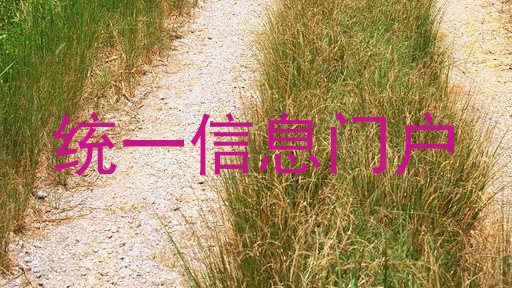 统一信息门户