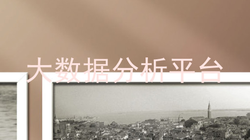 大数据分析平台