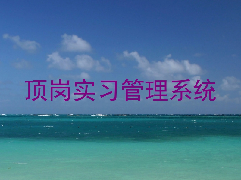 顶岗实习管理系统