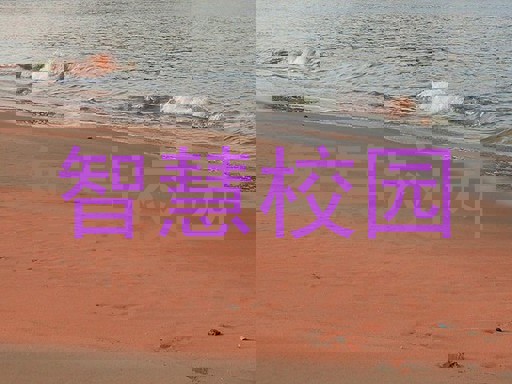 智慧校園