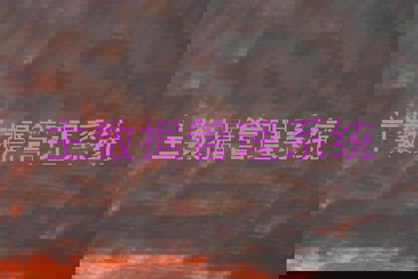 主数据管理系统