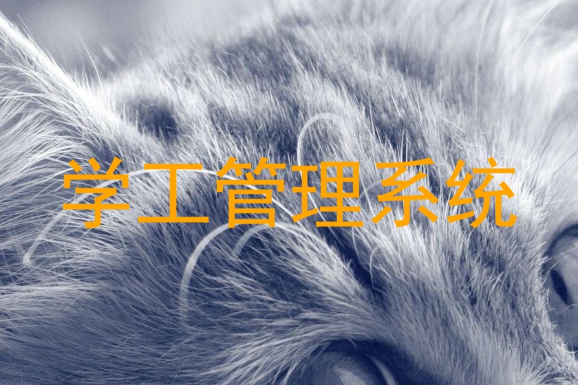 学工管理系统