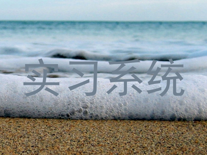 实习系统