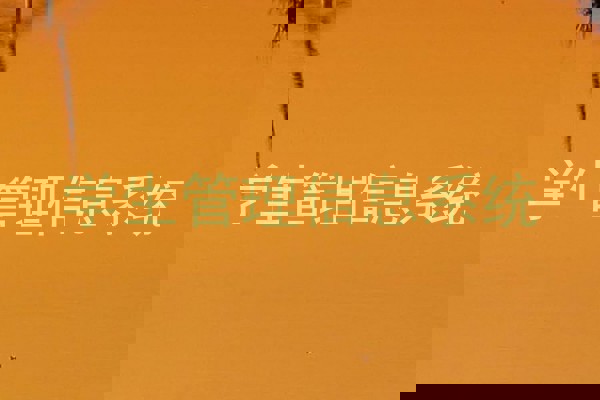 学生管理信息系统