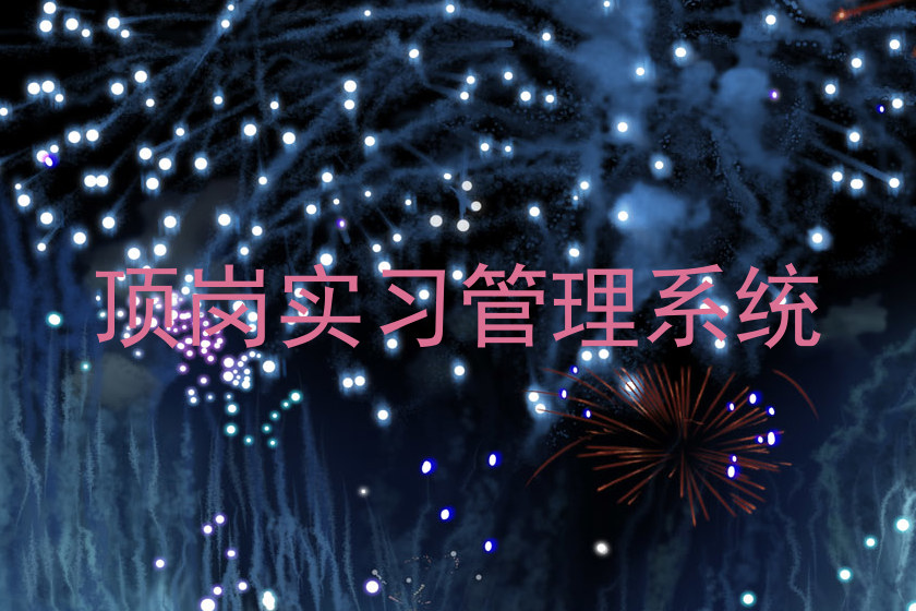 顶岗实习管理系统
