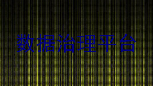 数据治理平台