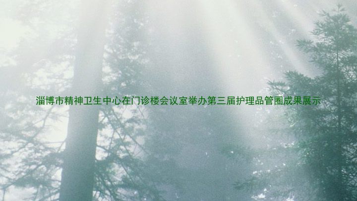 淄博市精神卫生中心在门诊楼会议室举办第三届护理品管圈成果展示