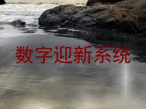 数字迎新系统