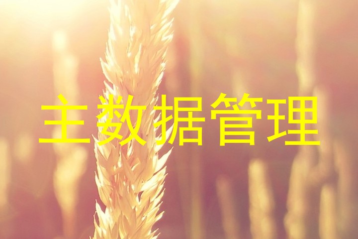 主数据管理