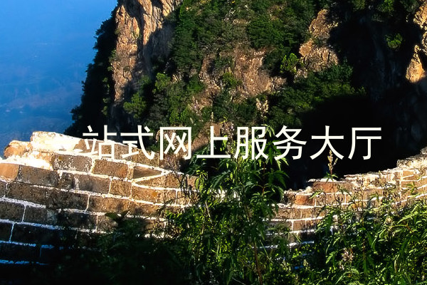 一站式网上服务大厅