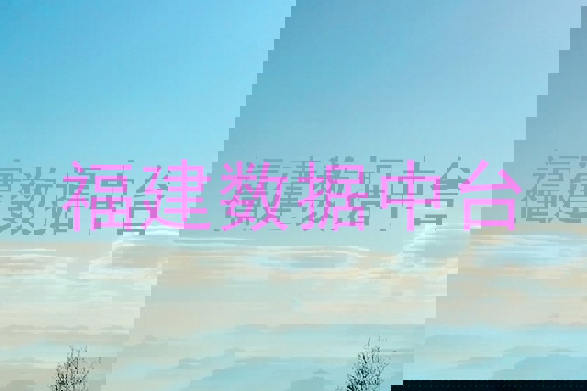 福建数据中台