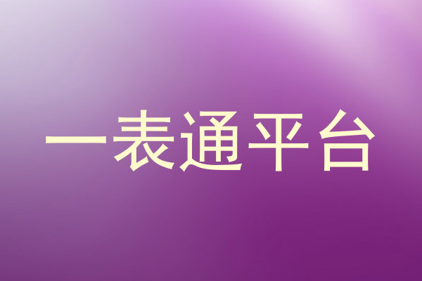 一表通平台