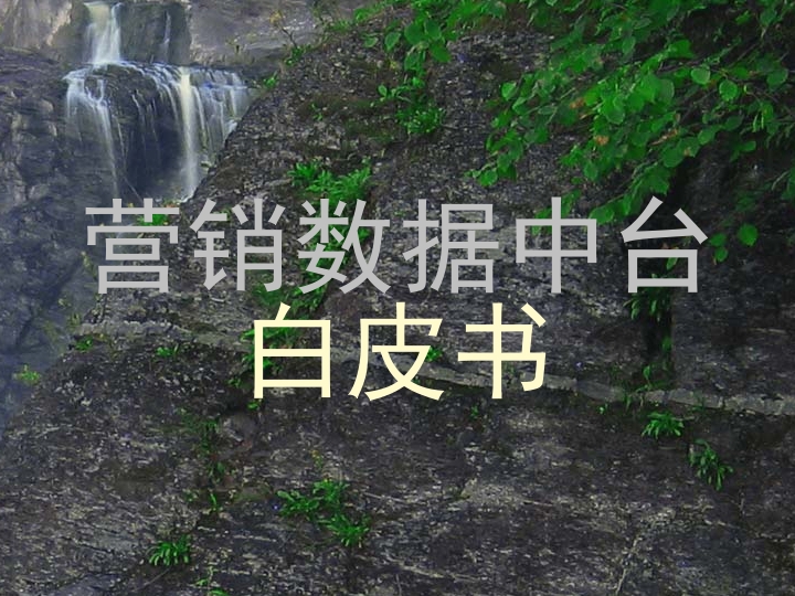 营销数据中台
