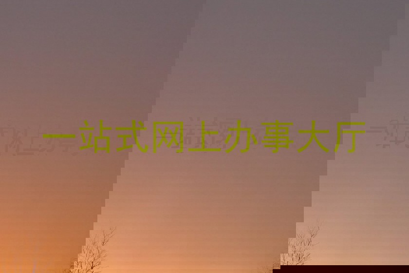 一站式网上办事大厅