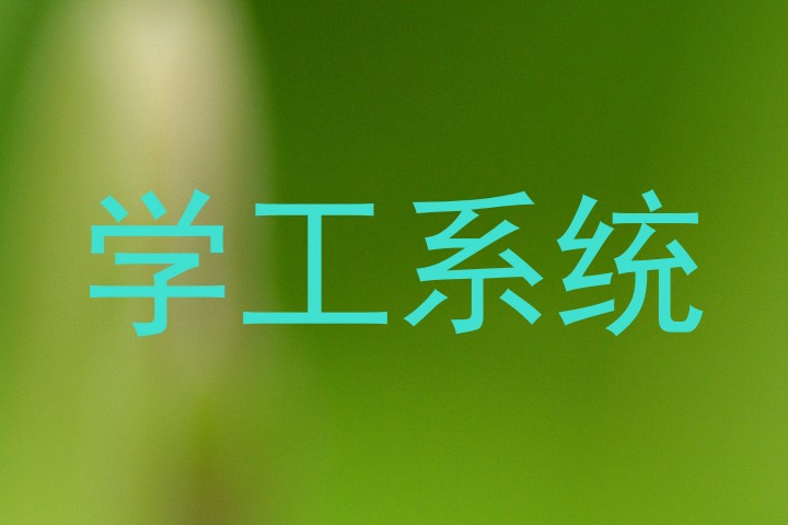 学工系统