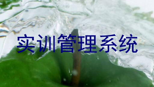 实训管理系统