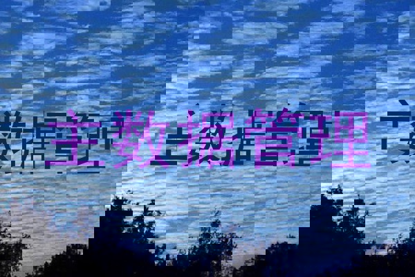 主数据管理