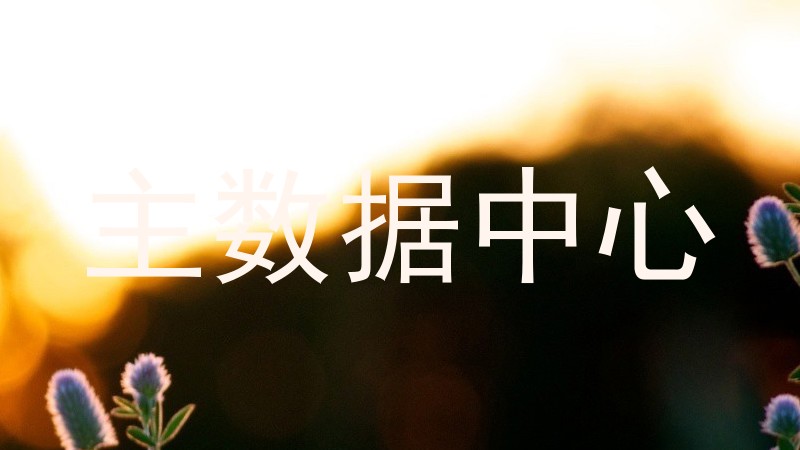 主数据中心