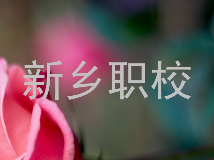 新乡职校