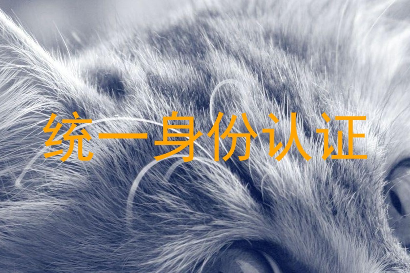 统一身份认证