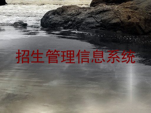 招生管理信息系统
