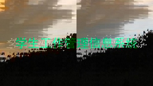 学生工作管理信息系统