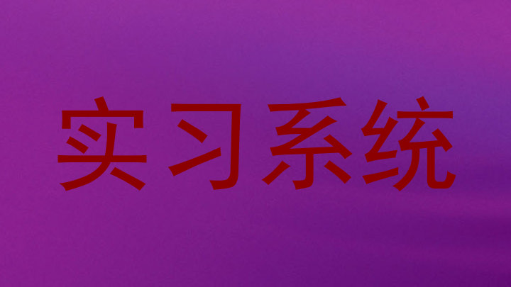 实习系统