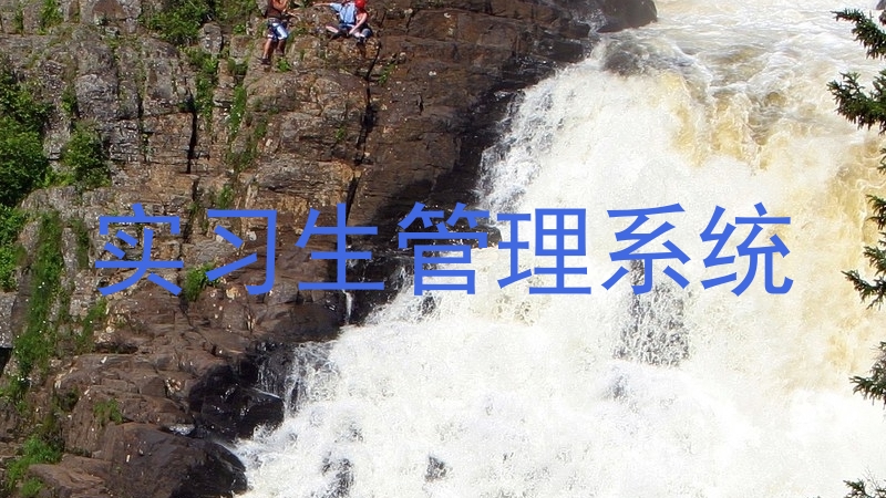 实习生管理系统