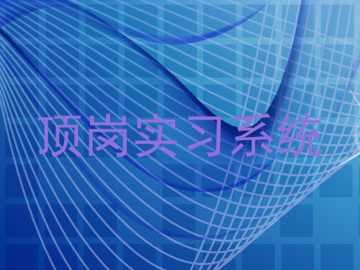 顶岗实习系统