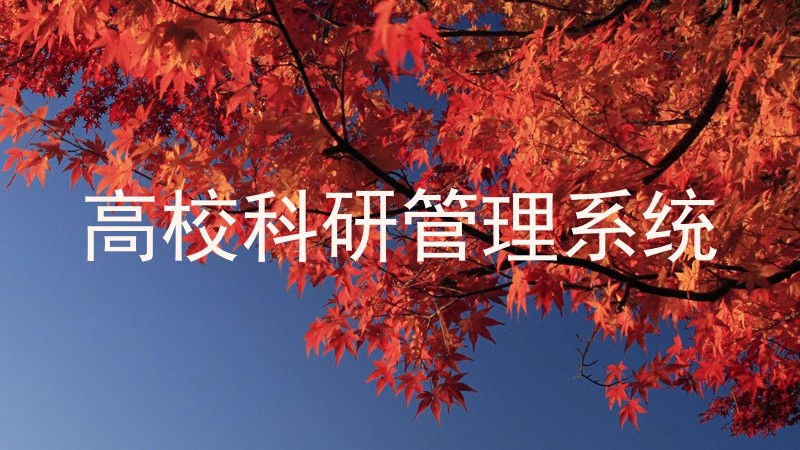 高校科研管理系统