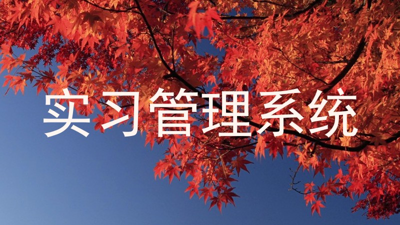 实习管理系统