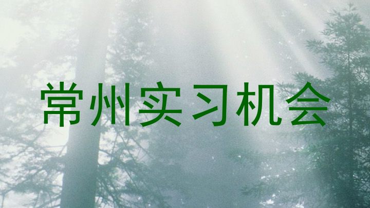 常州实习机会