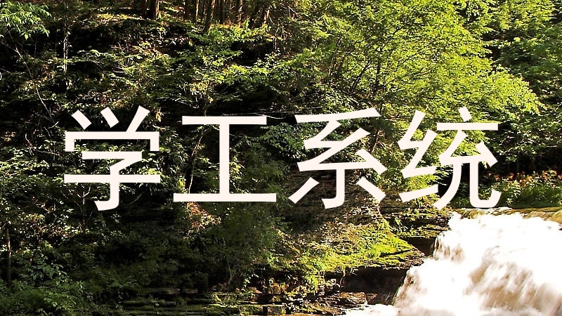 学工系统