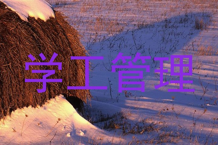 学工管理