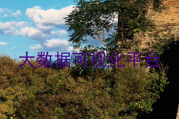 大数据可视化平台