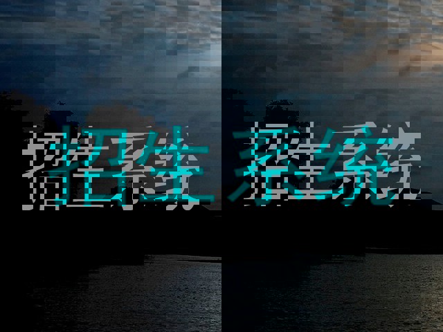 招生系统