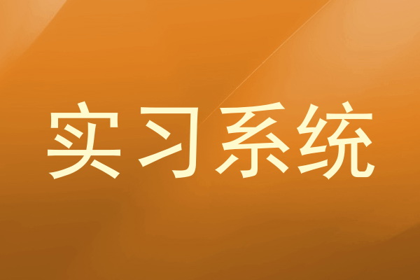 实习系统