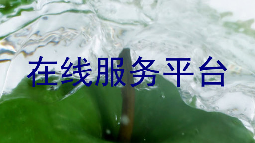 在线服务平台