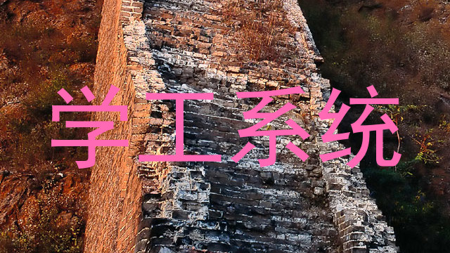 学工系统