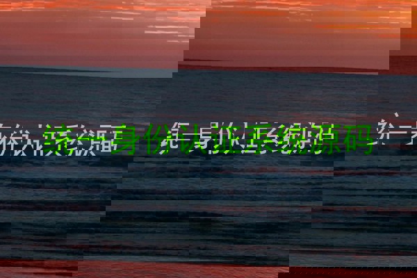 统一身份认证系统源码