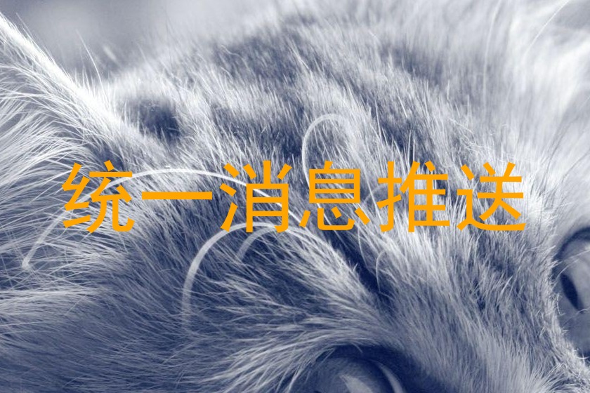统一消息推送