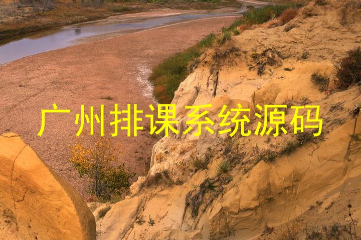 广州排课系统源码