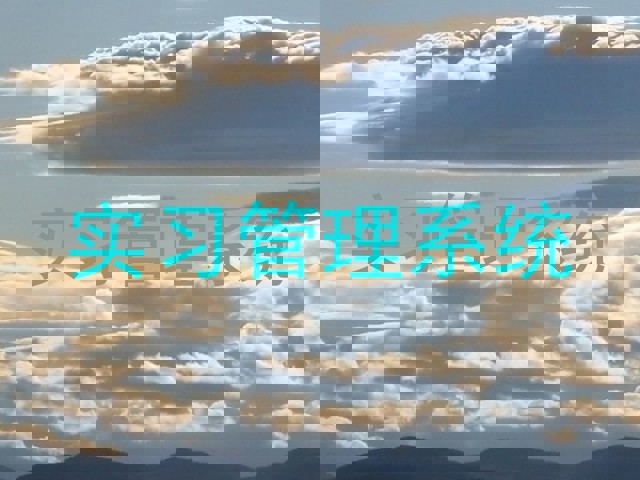 实习管理系统